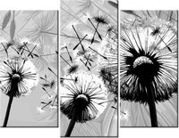 70 90CM OBRAZ 3 ELEM BIAŁE DMUCHAWCE SZARYM TLE ŚCIENNY DRUK PŁÓTNO