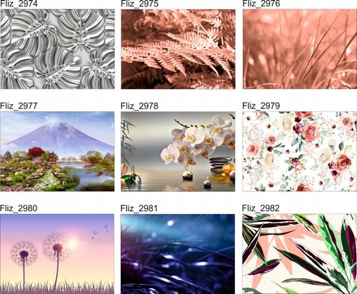 FOTOTAPETY Las we Mgle Drzewa Widok paprotki na Arena.pl