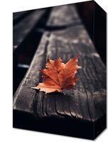 product-compare-59476969