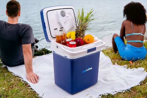 LODÓWKA TURYSTYCZNA 32L 12V WYŚWIETLACZ + GRATIS na Arena.pl