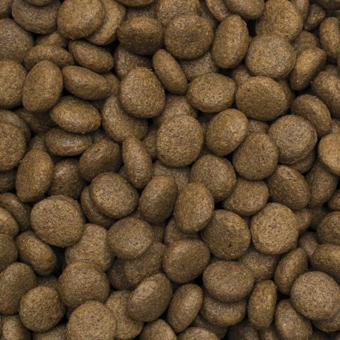 TROPIDOG PREMIUM Adult wołowina z ryżem 12kg beef dla dużych i średnich ras na Arena.pl