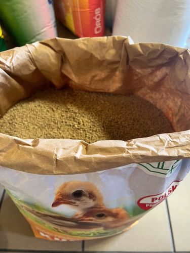 Karma dla przepiórek Piast Pasza dla przepiórek Piast 25 kg 25 kg na Arena.pl
