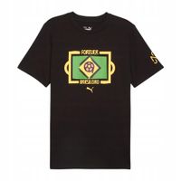 KOSZULKA MĘSKA NEYMAR JR FOOTBALL TEE PUMA L