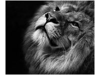 60X50CM SREBRNY LEW OBRAZ ŚCIAN DREWNIANE
