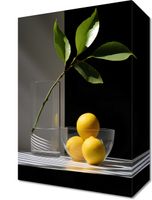 Obraz 20x30cm Cytrusowa Aranżacja