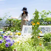 METALOWA PODPORA DO ROŚLIN ZESTAW 6 SZTUK