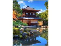 product-compare-58649058