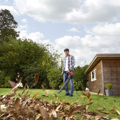 BLACK & DECKER | BEBLV301-QS | Leaf Blower na Arena.pl