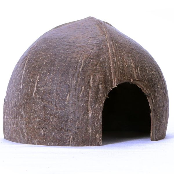 Terrario CocoCave L - połówka kokos gładki zdjęcie 1