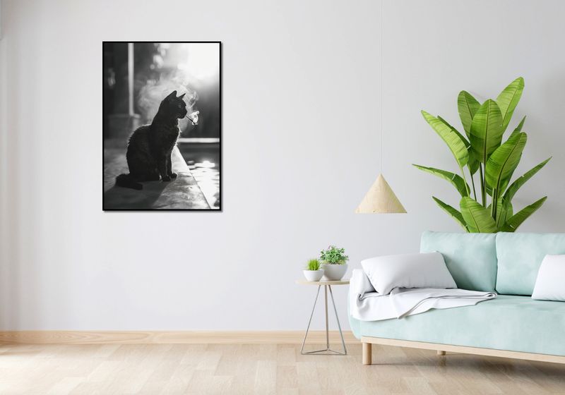 Plakat 70x100cm Kocia Przerwa zdjęcie 4