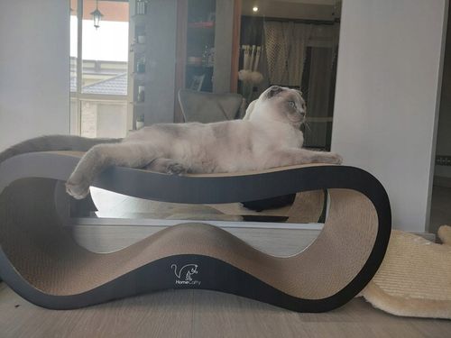 DRAPAK DLA KOTA KARTONOWY DUŻY LEGOWISKO 75x26x25 cm HomeCatty na Arena.pl