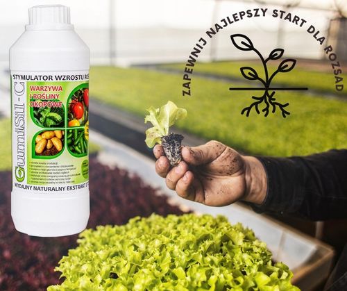 STYMULATOR DO WARZYW GUMISIL TRICHODERMA ROZSADY! EKO NAWÓZ BIOLOGICZNY TOP na Arena.pl