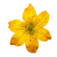 product-compare-61190912