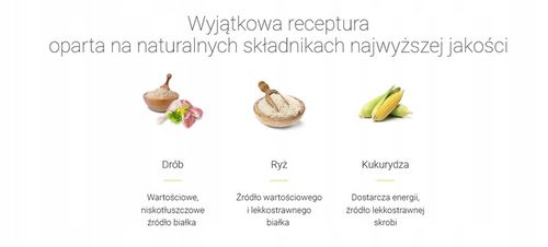 Josera High Energy dla psów aktywnych 12,5kg na Arena.pl