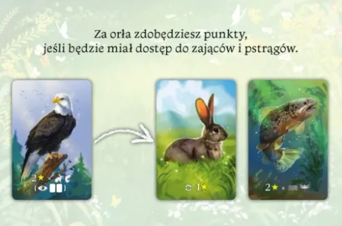 Ekosystem na Arena.pl