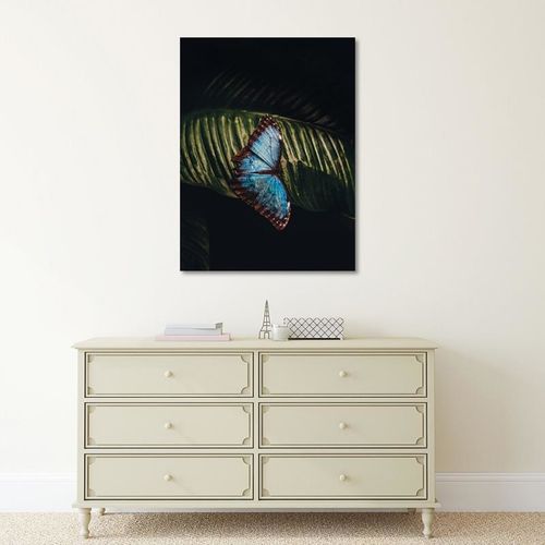 Deco Panel, Motyl na liściu 50x70 na Arena.pl