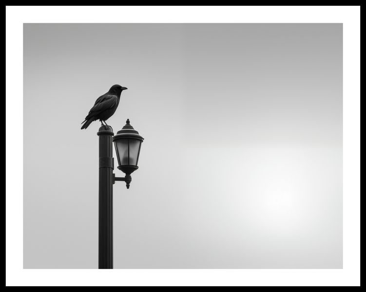 Plakat 65x50cm Samotny Postój Kruka zdjęcie 3