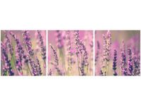 90 80CM OBRAZ T3 ELEM LAWENDA DRUK ŚCIENNY