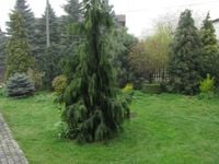 product-compare-63333473