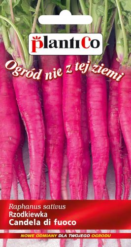 NASIONA Rzodkiewka Candela di Fuoco 5g PLANTICO 406506 na Arena.pl