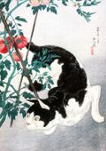 Plakat 59,4x84,1cm Cat with Tomato Plant, Takahashi Japoński Vintage do Sal