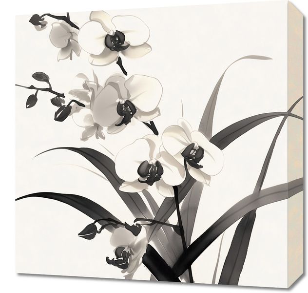 Obraz 50x50cm Orchidea zdjęcie 1