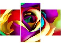 product-compare-58646380