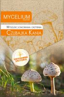 CZUBAJKA KANIA grzyby w ogrodzie Mycelium