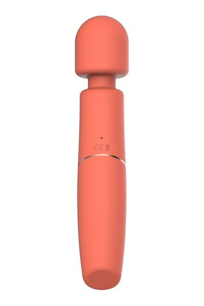 Charismatic Clarissa zdjęcie 8