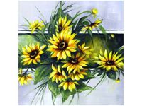 product-compare-58653349