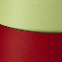 ND39_271790 KARTON OZD A4 CZE 220G GAL PAP HOLLAN