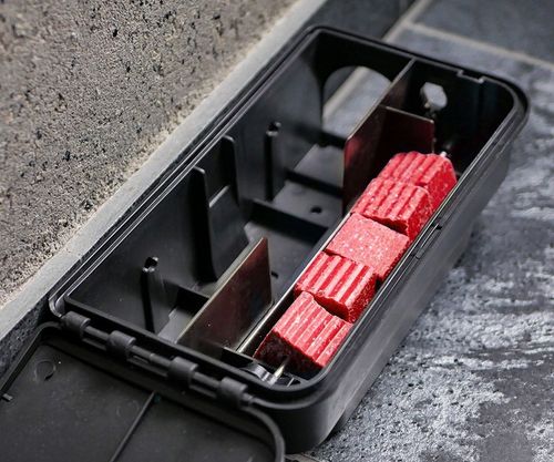 SILNA TRUTKA NA MYSZY I SZCZURY MURIBROM KOSTKA WOSKOWA BROMADIOLON na Arena.pl