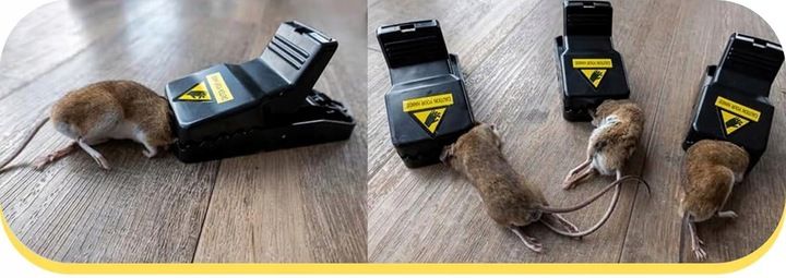 PUŁAPKA NA MYSZY MOCNY ZATRZASK GILOTYNA ZESTAW 6 SZTUK !!!! ŁAPKA NA MYSZY zdjęcie 7