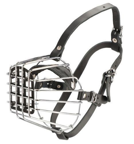 Kaganiec ze skóry i metalu chromowanego dla psa Dingo nr.3A Spaniel średni na Arena.pl