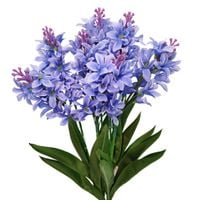 Bukiet hiacynt niebieski