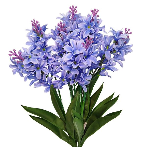 Bukiet hiacynt niebieski zdjęcie 1