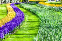 product-compare-62140993