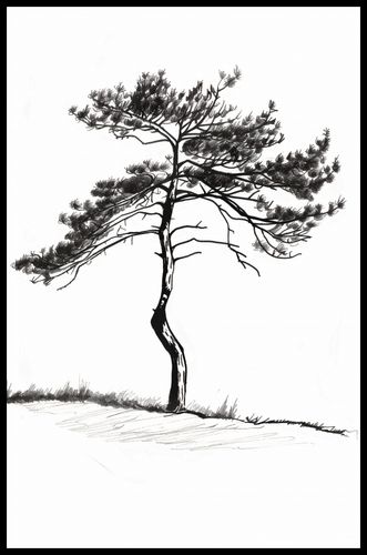 Plakat 53x81cm Samotna Sosna na Arena.pl