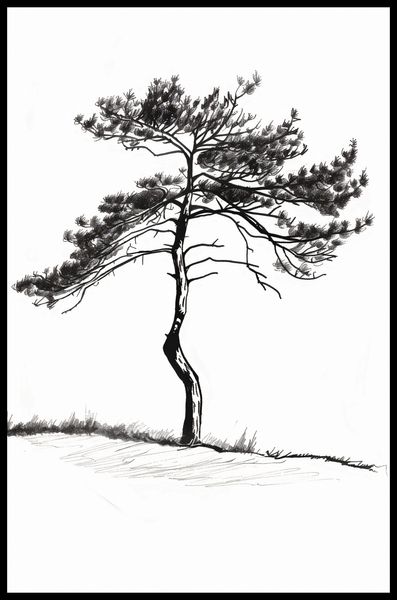 Plakat 53x81cm Samotna Sosna zdjęcie 2