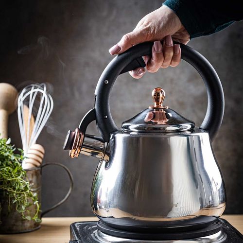 czajnik stalowy z gwizdkiem 2,8l klausberg kb-7776 na Arena.pl