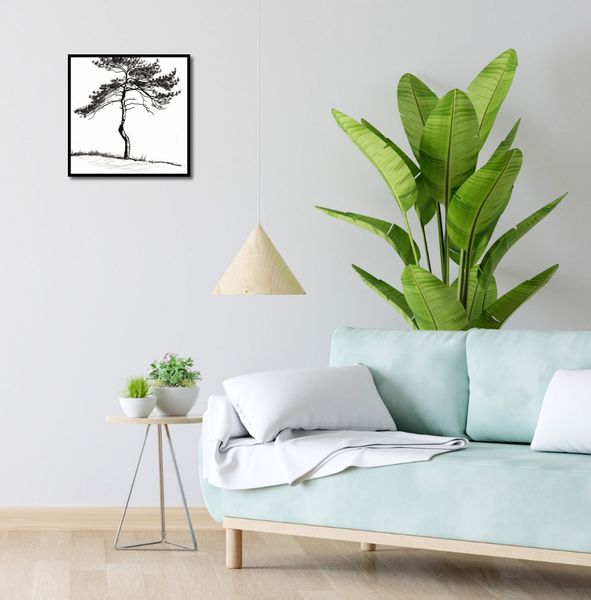 Plakat 40x40cm Samotna Sosna zdjęcie 4