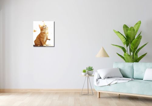 Obraz 40x50cm Motyle i Marzenia na Arena.pl