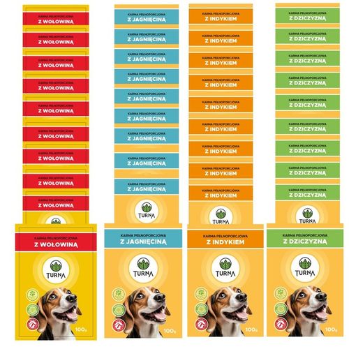 KARMA MOKRA SASZETKA SASZETKI DLA PSA PSÓW TURNA MIX 4 SMAKÓW 40 x 100G na Arena.pl