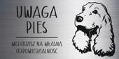Tabliczka 20x10 cm UWAGA PIES Cocker spaniel LAMINAT Z GRAWEREM