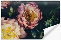Fototapeta Do Salonu Styl VINTAGE Piwonie Kwiaty Efekt 3D 368cm x 254cm