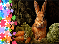 product-compare-57817315