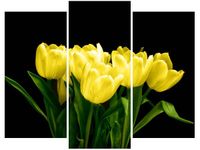 60 90CM OBRAZ 3 ELEM ŻÓŁTE TULIPANY- MARK FREETH ŚCIENNY DRUK PŁÓTNO