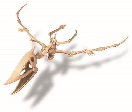 4M - Wykopaliska Pterozaur 13238 na Arena.pl