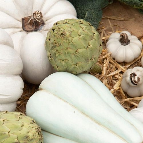 FIGURKA DYNIA OZDOBNA NA JESIEŃ HALLOWEEN DO DOMU OGRODU BIAŁA MAŁA 2 na Arena.pl