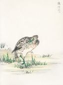 Plakat 60x80cm  Little Bittern, Kashu Japoński Vintage do Salonu